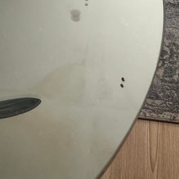 Nestle Balla Bademli Gevrekten Çıkan Böcekler Ve Hijyen Sorunu