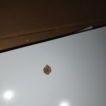 Eksik Ve Hatalı Ürün, Müşteri Hizmetleri Ulaşılamıyor