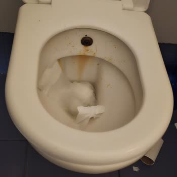 Ankara Esenboğa Havalimanı İç Hatlar Tuvaletlerinde Süregelen Temizlik Ve Bakım Sorunları