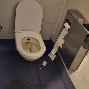 Ankara Esenboğa Havalimanı İç Hatlar Tuvaletlerinde Süregelen Temizlik Ve Bakım Sorunları