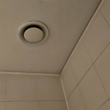 Ankara Esenboğa Havalimanı İç Hatlar Tuvaletlerinde Süregelen Temizlik Ve Bakım Sorunları