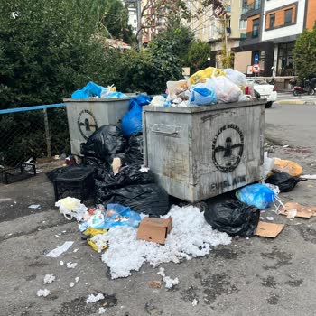 Cevizli Mahallesi'nde Çöp Sorunu Ve Kötü Koku Şikayeti