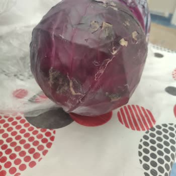 Carrefour SA Siparişimdeki Sebze Ve Meyveler Kötü Durumda Geldi!