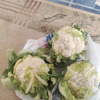 Carrefour SA Siparişimdeki Sebze Ve Meyveler Kötü Durumda Geldi!