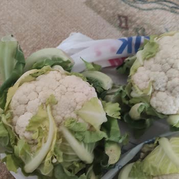 Carrefour SA Siparişimdeki Sebze Ve Meyveler Kötü Durumda Geldi!