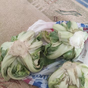 Carrefour SA Siparişimdeki Sebze Ve Meyveler Kötü Durumda Geldi!