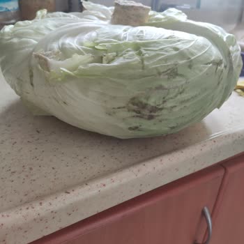 Carrefour SA Siparişimdeki Sebze Ve Meyveler Kötü Durumda Geldi!