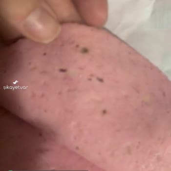 Polonez Salamda Yeşil Siyah Renkli Bozulmalar