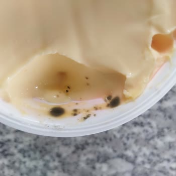 Aldığım Krem Peynir Küflü Çıktı, İade Ve Çözüm Bekliyorum