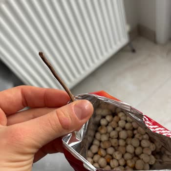 Migros'tan Satın Alınan Leblebide Yabancı Cisim Şoku