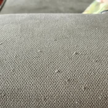 Kedi Dostu Diye Satılan Loveseat Üç Günde Zarar Gördü, Çözüm Yetersiz Kaldı