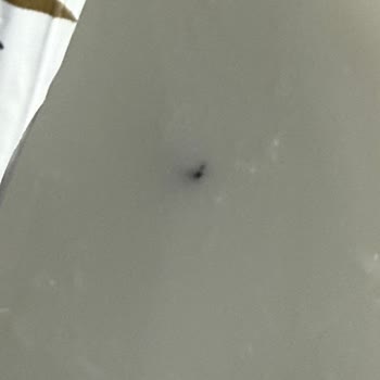 Yoğurt Üzerinde Yabancı Madde: Hijyen Ve Güvenlik Endişesi