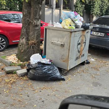 Maltepe'de Çöp Sorunu Ve Belediyenin İlgisizliği