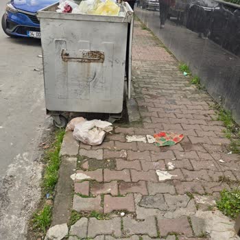 Maltepe'de Çöp Sorunu Ve Belediyenin İlgisizliği