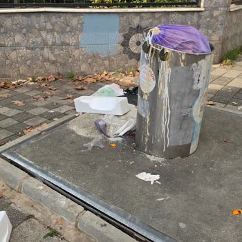 Maltepe'de Çöp Sorunu Ve Belediyenin İlgisizliği