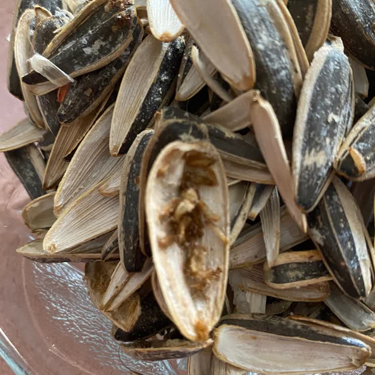 Kurtlu Ve Bozuk Ürünler, İade Talebim Karşılanmıyor!