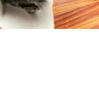 Kısa Sürede Yıpranan Adidas Ayakkabım İçin Değişim Talebi Ve Garanti Sürecinde Mağduriyet