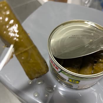 Tamek Konserve Yaprak Sarmada Hijyen Sorunu ve İlgisiz Yaklaşım