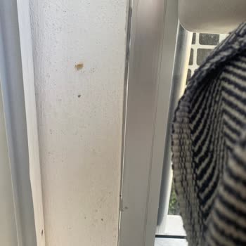 Cam Balkon Montajında Yaşanan Sorunlar Ve İletişim Eksikliği