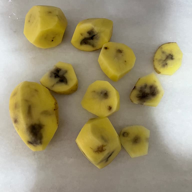 BİM'den Aldığım Patateslerin Tamamı Çürük Çıktı, Mağduriyetimin Giderilmesini İstiyorum