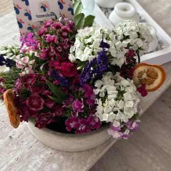 Sipariş Teslimatı Gecikti Ve Ürün Beklediğim Gibi Gelmedi