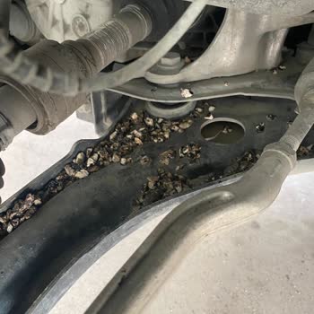 Ekspertiz Raporundaki Eksiklikler Ve İlgisiz Yaklaşım