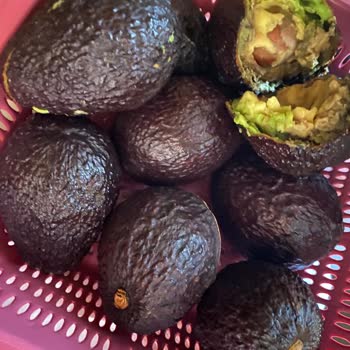 Migrosdan Alınan Avokadolar Çürük Çıktı Müşteri Hizmetleri İlgisizdi