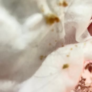 Dalin Bebek Şampuanı Oğlumda Egzamaya Sebep Oldu, Acil İnceleme Talebi