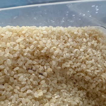 Migros Pirinçte Tekrarlayan Kurt Sorunu Ve Hijyen Endişesi