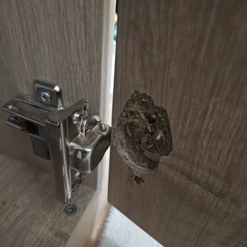 Garanti Kapsamında Olması Gereken Arızada Müşteri Suçlanıyor!