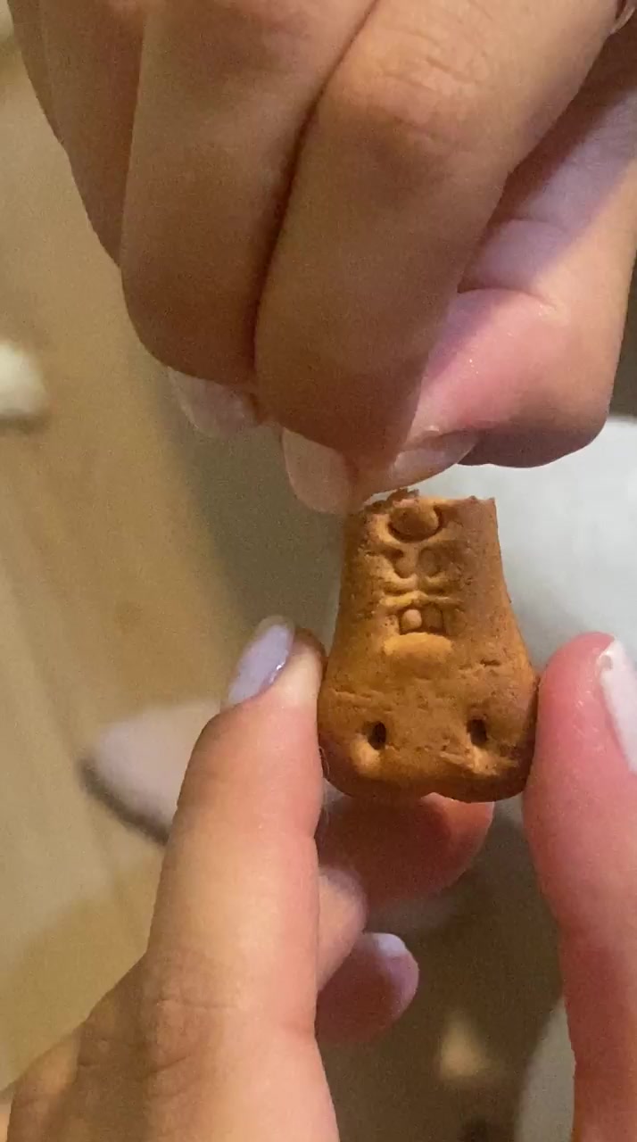 I Found Hair Inside Pedigree Biscrok Dog Treat video cover