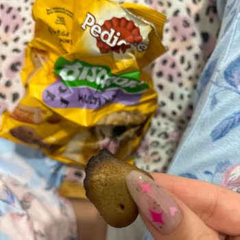 Pedigree Dog Food Contained a Mysterious Black Biscuit Piece