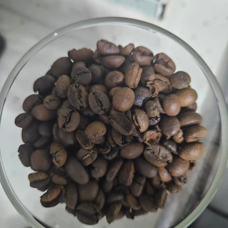 Hepsiburada'dan Aldığım Lavazza Kahveler Sahte Çıktı, İade Ve İnceleme Talep Ediyorum