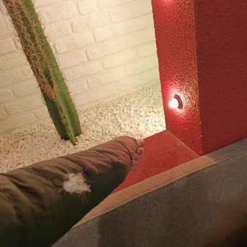 Boston Drink & Dessert Umursamaz Tavır