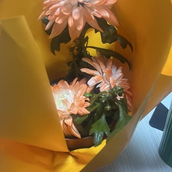 Yanlış Ürün Ve Eksik Not Nedeniyle Hediye Siparişimde Hayal Kırıklığı