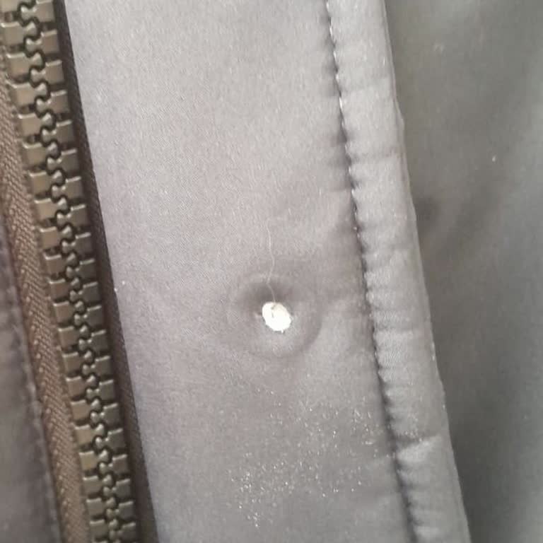 Defolu Ürün Ve Yasal Hakların Engellenmesi: Colin's'ten Hayal Kırıklığı