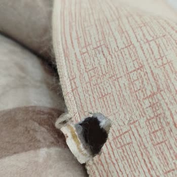 Halı Yıkama Sonrası Yırtık Halı Ve Sürekli Oyalama