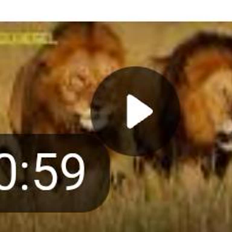 TRT Belgesel'de Akşam Saatlerinde Eğitim İçeriklerine Erişemiyorum