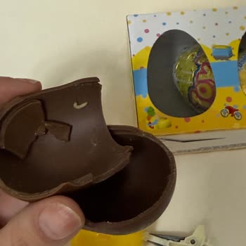 Çocuğuma Verdiğim Sürpriz Yumurtadan Canlı Kurt Çıktı!