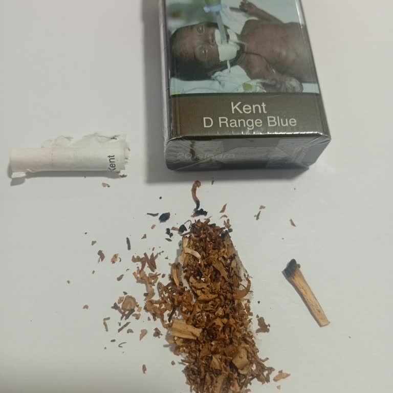 Kent D Range Blue Sigara Kalitesinde Ciddi Düşüş Ve Yabancı Madde Sorunu