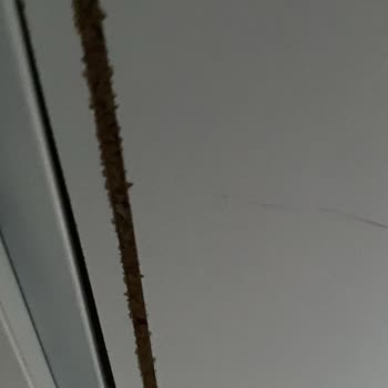 Çocukların Güvenliğini Tehlikeye Atan Ranza Kırılması