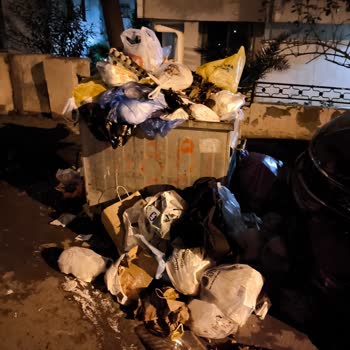 Altıntepe Mahallesi'nde Çöp Toplama Sorunu Ve Sağlık Riski