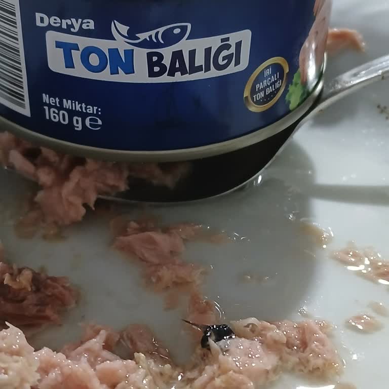 Ton Balığında Sinek Çıkması Nedeniyle Güven Kaybı