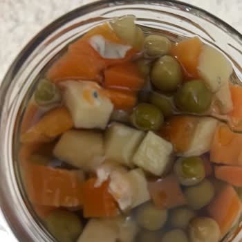 Aldığım Konserve Küflü Çıktı Sağlık Açısından Endişeliyim