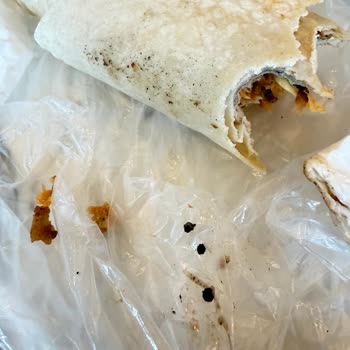 Siparişim Geç Geldi Cheddar Eksikti Hijyen Sorunluydu İade Talebim Reddedildi