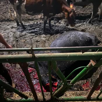 Acil Müdahale Sonrası Hasar Dosyamız Haksız Şekilde Reddedildi