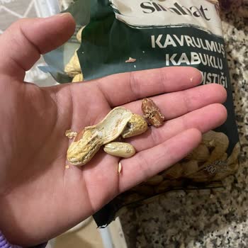 Son Kullanma Tarihi Geçmemiş Yer Fıstığında Kurtlanma Ve Bozulma Şoku