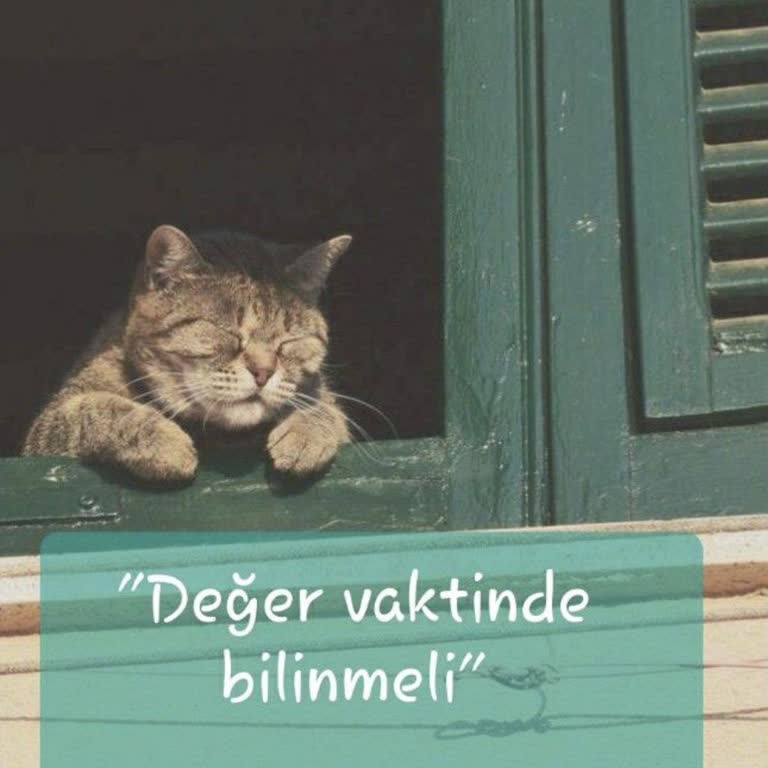 Şüpheli Arama Sonrası Kişisel Bilgilerim Risk Altında Mı