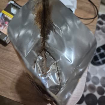 Nescafe Gold Ürününde Tekrarlayan Kalite Sorunu Ve Güven Kaybı