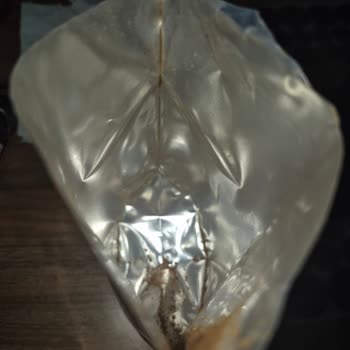 Nescafe Gold Ürününde Tekrarlayan Kalite Sorunu Ve Güven Kaybı